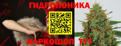 прущие крисы Новозыбков