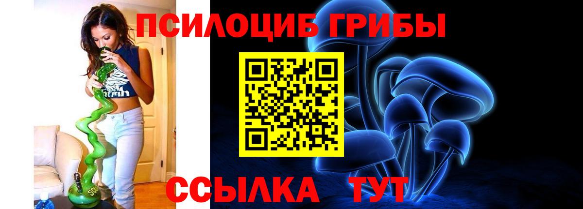 Галлюциногенные грибы Cubensis Пугачёв
